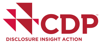 CDP Questionnaire
